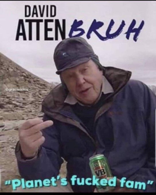 The image features a man wearing a blue jacket, hat, and holding a can of beer while sitting down. The caption below his photo reads "Plant dollars. Withdraw anytime. Money for Trees ... $BRUH 0x674D2E9c06afeC5d2a0bcdec2A53e2af328a10E". This post seems to be a humorous take on David Attenbrus' character, with the man in the image being referred to as "David Brubus" and his actions depicted through the beer can. The caption also includes some text about planting trees and withdrawing money for forests.
