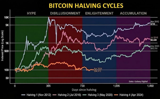 A log-scale chart titled "BITCOIN HALVING CYCLES" plots Bitcoin's indexed price across four halving events (Nov 2012, Jul 2016, May 2020, Apr 2024) over 1,460 days, divided into Hype, Disillusionment, Enlightenment, and Accumulation phases, with current prices marked at $729 (Nov 2012), $9,438 (Jul 2016), $65,791 (May 2020), and $84,472 (Apr 2024). The image aligns with the post's sentiment by suggesting Bitcoin is currently in the "Disillusionment" phase of the 2024 halving cycle, historically a period of decline before accumulation and the next bull run—reinforcing the view that the next bull market is being built during this downturn.