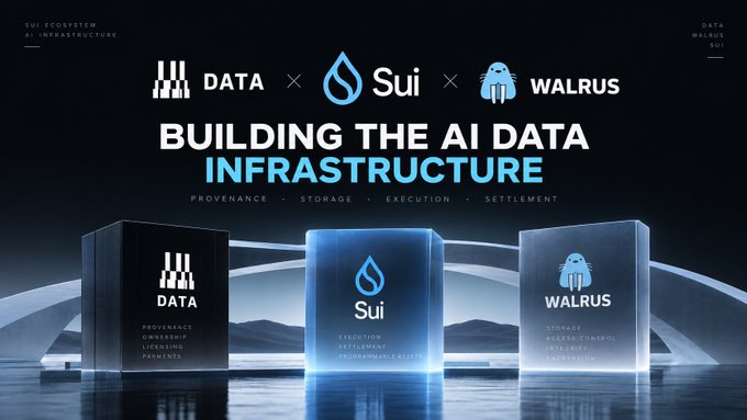 A promotional graphic titled 'BUILDING THE AI DATA INFRASTRUCTURE' featuring logos for DATA, Sui, and WALRUS, with subcategories including Provenance, Storage, Execution, and Settlement.