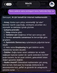 A Turkish-language mobile screenshot with the header 'MOCHI' and a warning about internet access being required to play online, followed by permission information.