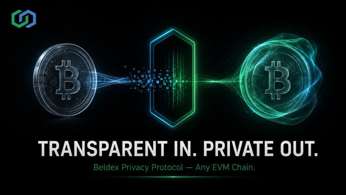A Beldex promotional image showing Bitcoin coins connected by digital streams through a hexagonal shield, with the tagline 'TRANSPARENT IN. PRIVATE OUT.' and 'Beldex Privacy Protocol — Any EVM Chain.'