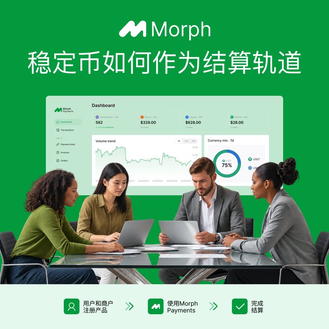 A promotional graphic for 'Morph Payments' with Chinese text '稳定币如何作为结算轨道' (How stablecoins serve as a settlement rail), showing a dashboard and four people reviewing data on laptops.