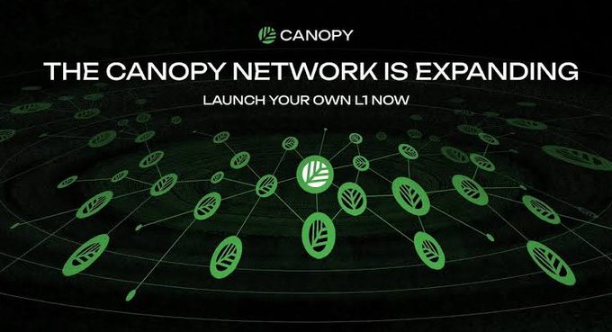 The Canopy Network promotional banner announcing 'THE CANOPY NETWORK IS EXPANDING' and inviting users to 'LAUNCH YOUR OWN L1 NOW' with a green network/leaf graphic.