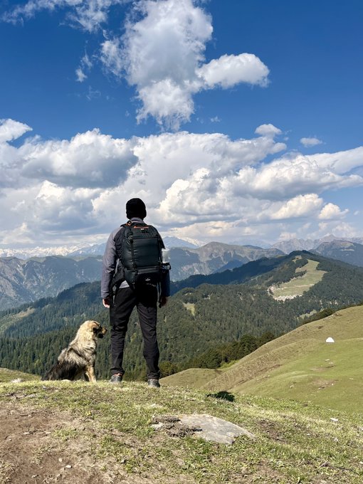 A scenic mountain landscape showing a person wearing a backpack standing on a grassy ridge alongside a golden retriever dog, looking out over a valley of pine forests and distant snow-capped peaks under a cloudy sky.