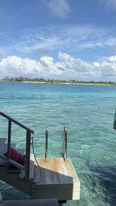 A photograph of a tropical seascape with crystal-clear turquoise water, a wooden dock with metal ladder in the foreground, and a palm-tree-covered island on the horizon under a partly cloudy blue sky.