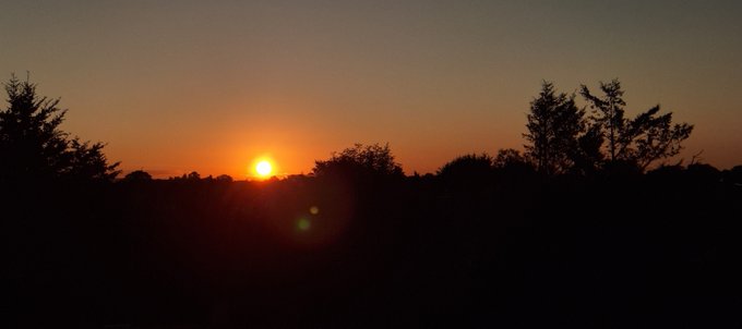 A vibrant sunrise breaks over a dark silhouette of treetops, with the sun glowing warmly on the horizon beneath an orange sky. The image captures the "early bird" spirit of the post, symbolizing a fresh start for the $XRP community as a new day begins.