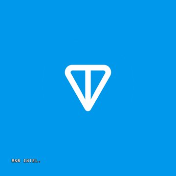 A blue square logo with a white stylized 'V' or paper airplane symbol and 'MSG_INTELL' text in the bottom left corner.