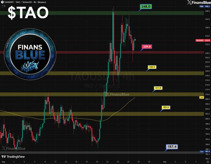 A TradingView 4-hour candlestick chart for $TAO (TAO/USDT) on Binance from 'FinansBlue', showing price action between 187.4 and 248.0 with several support and resistance levels marked.