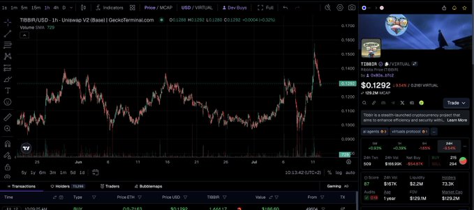 A TradingView chart displays the TIBBIR/USD pair on GeckoTerminal, showing a recent sharp price spike, with Binance market data indicating a price of $0.1292 and 2.2M liquidity.