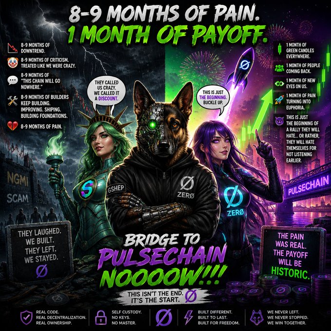 A promotional graphic for PulseChain cryptocurrency featuring a cyberpunk-style dog in a hoodie, a green-haired woman with a torch, and a purple-haired woman, with text reading '8-9 MONTHS OF PAIN. 1 MONTH OF PAYOFF.' and 'BRIDGE TO PULSECHAIN NOOOOOW!!!'