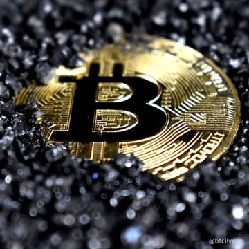 A close-up photograph of a gold Bitcoin coin resting on dark gravel, featuring the iconic 'B' symbol with 'BTC' text around the edge and a watermark '@btcity'.