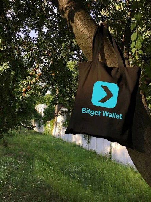 The image features a black bag hanging from a tree branch, with the word "Bitget Wallet" displayed on it. The text "GM Taking Bitget Wallet everywhere... because opportunities don' t have a fixed location." suggests that the person who posted this image is promoting the idea of using digital wallets and mobile payments for everyday transactions. This message emphasizes the convenience and flexibility offered by these payment methods, as they can be used almost anywhere without the need for physical currency or cards.