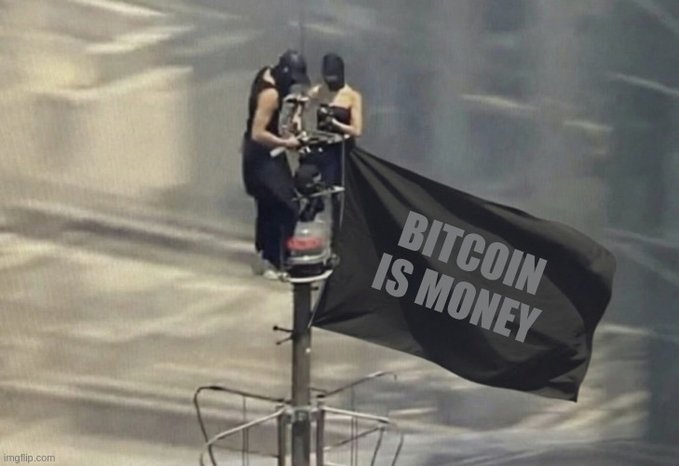 Two shirtless masked figures perch atop a tall pole or antenna flying a black flag that reads "BITCOIN IS MONEY," symbolizing the user's unwavering, almost fanatical dedication to defending Bitcoin's core monetary principles. The image serves as a visual metaphor for their self-described "Bitcoin Psychopath" identity—signaling a vigilant, militant commitment to fighting any changes (like BIP110) that they view as violations of Bitcoin's foundational purpose.