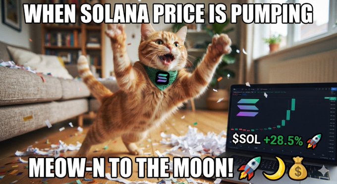 A meme showing an excited orange cat jumping in celebration amid confetti, with text "WHEN SOLANA PRICE IS UPING" and "MEOW-N TO THE MOON!" alongside a laptop displaying a chart reading "$SOL +28.5%".