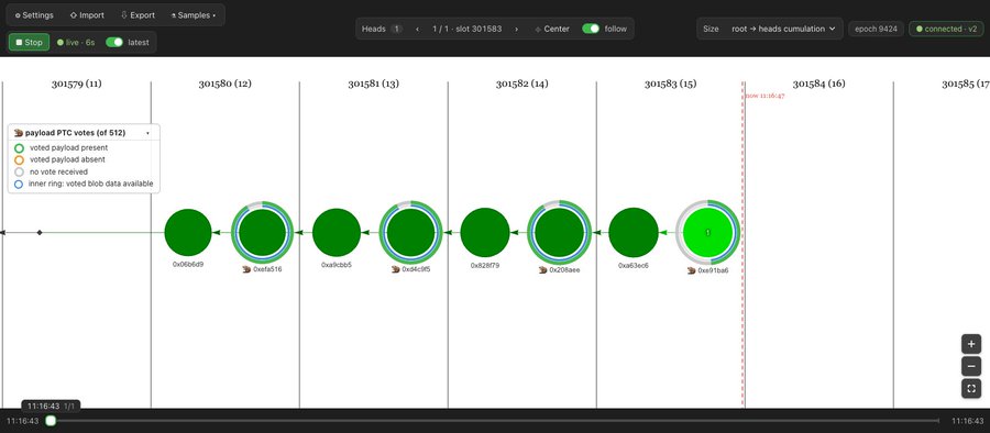 A blockchain visualization dashboard, labeled 'heads cumulation' and connected to 'epoch 8424', displaying a horizontal timeline of blocks numbered 301579 to 301585 with green circles indicating voted payloads.
