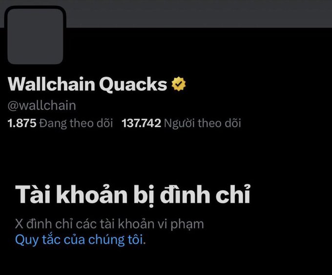 The image features a post with a caption written in an Asian script that reads "Tai khoa bi dhnh chia cua cuang ta khahn vi pham", which translates to "the X Creator segment, and you're planning to take a bite out of its cake". The main elements are the poster, text box, and possibly some additional content displayed. There is no direct connection between the post and the fact that it's about wallchain quacks, as seen in the caption itself. The image mainly focuses on a post in progress with a foreign language context.
