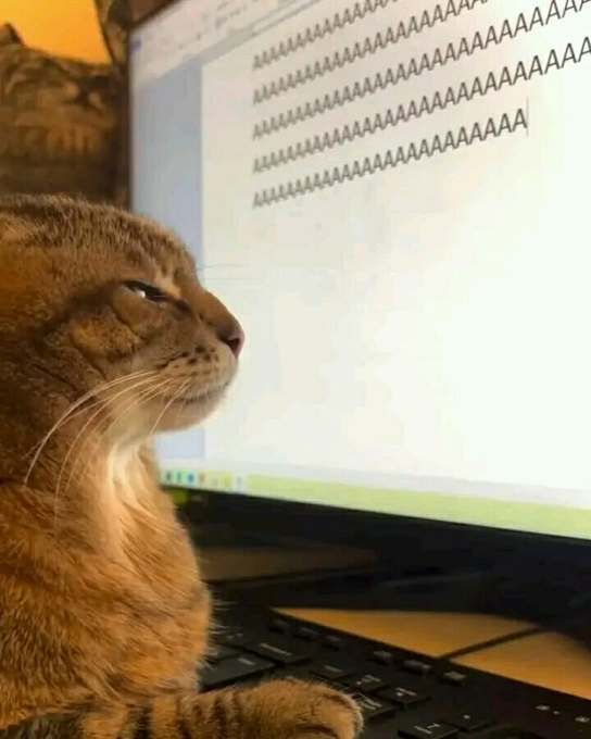 A tabby cat sitting at a keyboard staring at a computer monitor filled with rows of the letter 'A'.