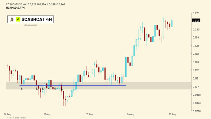 A 4-hour candlestick chart for $CASHCAT/USDT showing a strong uptrend, with text indicating 'CASHCAT/USD' and 'MCAP $247.47M', breaking out of a consolidation zone between August 14 and August 27.