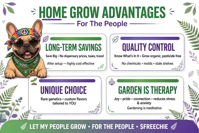 An infographic titled 'HOME GROW ADVANTAGES For The People' featuring a French bulldog wearing a tie-dye bandana, listing benefits like long-term savings, quality control, unique choice, and garden therapy.