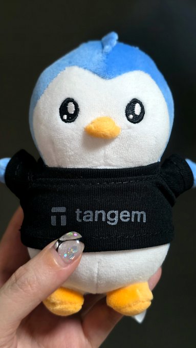 A hand holding a small blue and white penguin plush toy wearing a black t-shirt with the 'tangem' logo.
