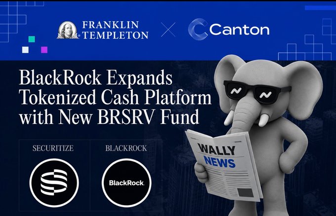 A stylized graphic announces "BlackRock Expands Tokenized Cash Platform with New BRSRV Fund," featuring Franklin Templeton and Canton logos at the top, along with Securitize and BlackRock icons, while a 3D cartoon elephant wearing sunglasses reads a "Wally News" newspaper on the right side. The image's connection to the post is unclear, as the post discusses Franklin Templeton Digital Assets joining Canton's Super Validator network, which isn't directly reflected in the BlackRock BRSRV Fund announcement shown.