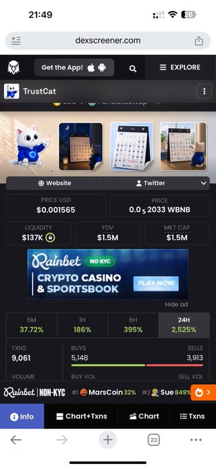 A mobile screenshot of Dexscreener showing the TrustCat token (price $0.001565, FDV $1.5M, liquidity $137K) on BSC, with "Rainbet NO-KYC CRYPTO CASINO & SPORTSBOOK" ad and a Rainbet NO-KYC affiliate link visible—tying into the meme's reference to cats roaming freely (like dogs in fields) after breaking free of their chains, humorously playing on the memecoin's name.