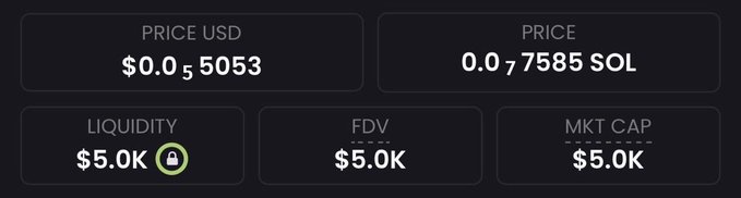 A crypto trading dashboard displays a token with a price of $0.005053 USD (0.07585 SOL) and minimal metrics of $5.0K liquidity, $5.0K FDV, and $5.0K market cap, visually supporting the post's claim of a micro-cap token being pitched as a potential 1000x moonshot.
