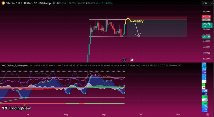 A TradingView chart showing Bitcoin / U.S. Dollar (BTCUSD) on Bitstamp with a price of 79,695, featuring an 'Entry' annotation and a VMC Cipher_B_Divergence indicator below.