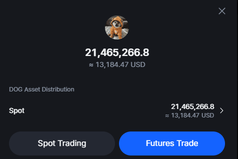 A crypto trading dashboard displays a DOG (Dogecoin) balance of 21,465,266.8 tokens (≈13,184.47 USD) in a wallet, with options for Spot Trading and Futures Trade. This aligns with the user's post about accumulating more DOG to reach 100 million tokens in their new wallet before 2027.