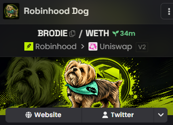 A cryptocurrency token listing page for 'Robinhood Dog' showing the ticker BRODIE paired with WETH on Uniswap V2, with a 34m indicator and a green dog mascot wearing a bandana.