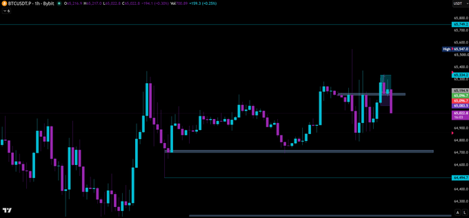 A candlestick chart of BTCUSDT perpetual futures on Bybit showing recent price action with horizontal support/resistance levels and a current price near $65,295.