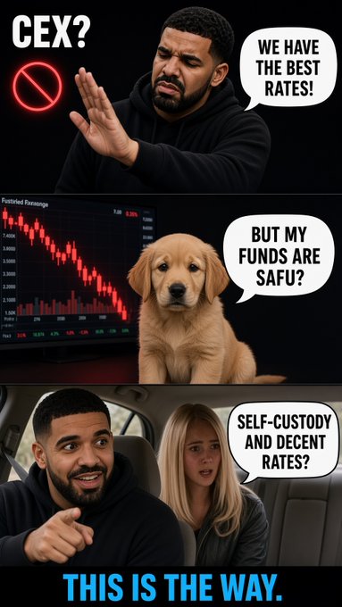 A three-panel Drake meme contrasts centralized and decentralized finance: the top panel rejects CEXs despite good rates, the middle shows a puppy concerned about SAFU funds during a market crash, and the bottom endorses 'SELF-CUSTODY AND DECENT RATES' with the caption 'THIS IS THE WAY.'