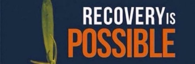 A dark blue banner displays the message "RECOVERY is POSSIBLE" with "POSSIBLE" in bold orange letters, alongside a green plant element on the left.