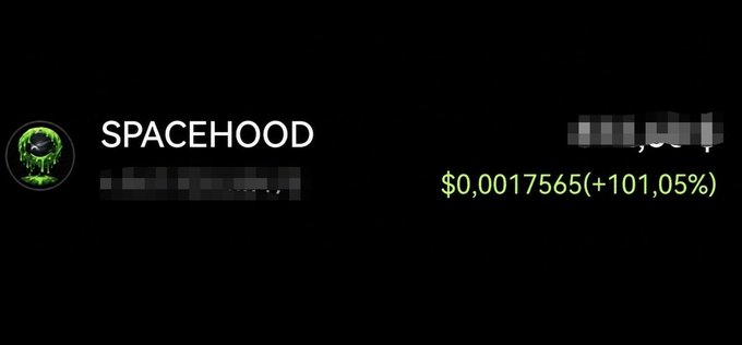 Cryptocurrency listing for SPACEHOOD token at $0.0017565, showing a +101.05% price increase with a blurred token name.