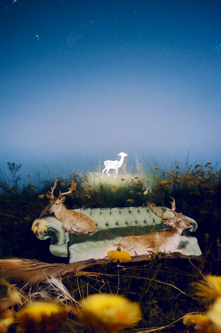 A surreal nighttime scene features a glowing white deer standing on a hill behind a vintage green couch, where two taxidermy-looking deer rest, surrounded by wildflowers under a starry sky. The ethereal composition evokes the dreamlike, otherworldly aesthetic often associated with NFT collections like Transient Labs, with the ethereal deer symbolizing the fleeting, instinct-driven nature of digital art minted to the blockchain.