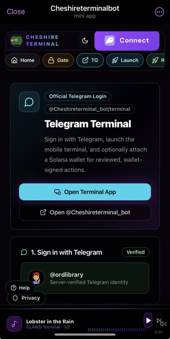 A mobile interface for 'Cheshireterminalbot' mini app displays a Telegram Terminal sign-in screen with options to 'Open Terminal App' and 'Open @Cheshireterminal_bot', showing a verified sign-in by '@ordilibrary'.