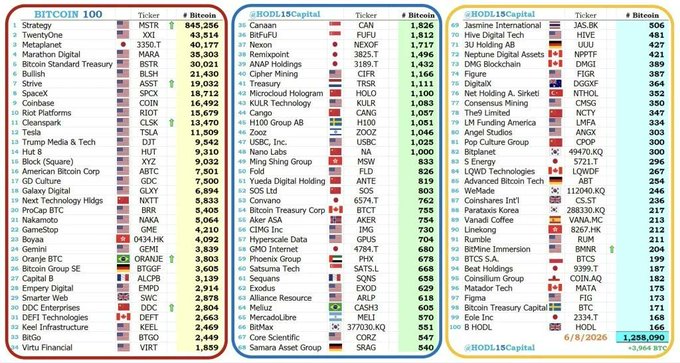The image shows a table with three columns labeled "Company", "Country", and "Btc Value". The table displays the names of several Bitcoin treasure troves along with their respective values in Bitcoins (BTC). The first column lists the companies, while the second column provides information about the countries where these companies are located. The third column shows the total value of Bitcoins held by each company.
