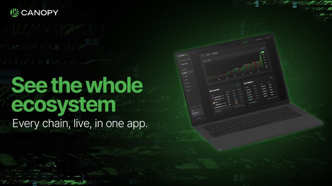 A promotional graphic for Canopy displays a laptop showcasing a financial dashboard with charts, alongside the tagline "See the whole ecosystem – Every chain, live, in one app." This visual reinforces the post's message by illustrating Canopy's pre-built, integrated infrastructure that allows users to monitor multiple blockchain networks within a single platform.