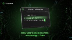 A dark-themed graphic displays a terminal-style window titled "CANOPY TEMPLATES" showing code statistics: "> 280 Lines," "> ship in minutes," and "> blockchain-ready," with a cursor at the end. Below, text reads "How your code becomes a sovereign chain," visually reinforcing the post's message about CNPY Network enabling developers to own their infrastructure by converting code into dedicated, self-sovereign blockchains.