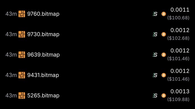 A dark-themed digital interface listing five '.bitmap' files (9760, 9730, 9639, 9431, 5265) with associated prices in Bitcoin ranging from 0.0011 ($100.68) to 0.0013 ($109.88).