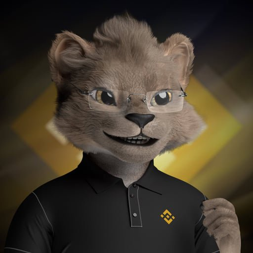 A digital mascot of a bear wearing glasses and a black polo shirt with the Binance logo is displayed against a dark background with yellow geometric shapes.