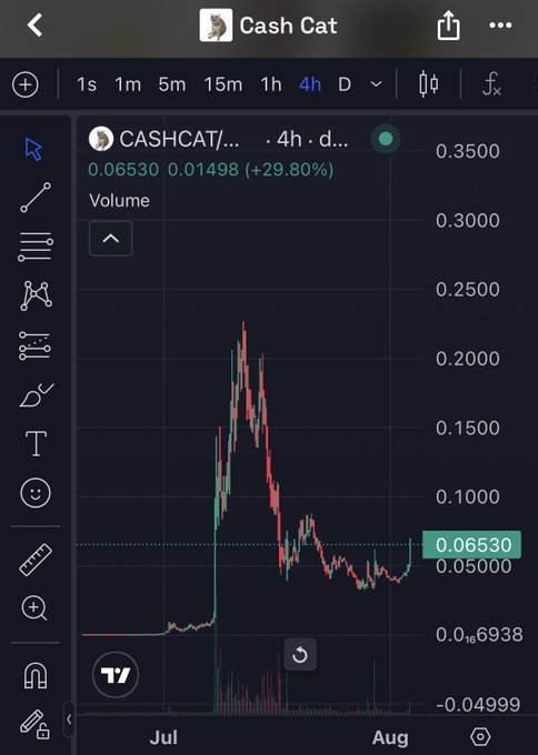 A TradingView 4-hour chart for CASHCAT/... showing a sharp pump from ~$0.0006 to a peak of ~$0.22 followed by a decline to $0.06530, a +29.80% gain that visually supports the "not if but when" bullish sentiment for the Cash Cat token.
