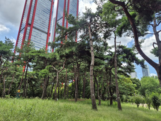 Tall pine trees sway in front of a modern high-rise with distinctive red vertical stripes under a partly cloudy sky, with wild grass filling the foreground. The urban-greenery contrast mirrors the post's weary longing to escape this monotonous place—though summer's heat lingers, making departure feel far off.