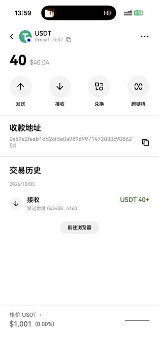 A cryptocurrency wallet screenshot showing a USDT balance of 40 ($40.04) and a transaction history entry for 2026/10/05.