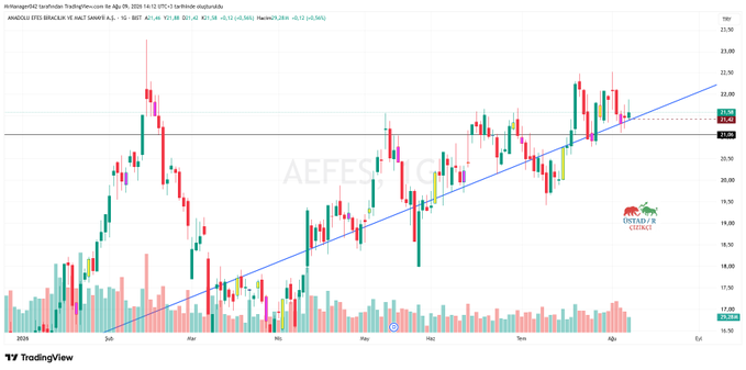 This is a daily candlestick chart of Anadolu Efes Biracılık ve Malt Sanayii A.Ş. (AEFES) on the Borsa Istanbul (BIST), showing price action from January through late July 2024 with a key support level at 21.42 marked by a horizontal line and a rising blue trendline. The chart supports the caption's analysis, as AEFES is currently trading at 21.64 near the 21.42 support zone, with the 21.06 level identified as a critical stop-loss reference if the support breaks.