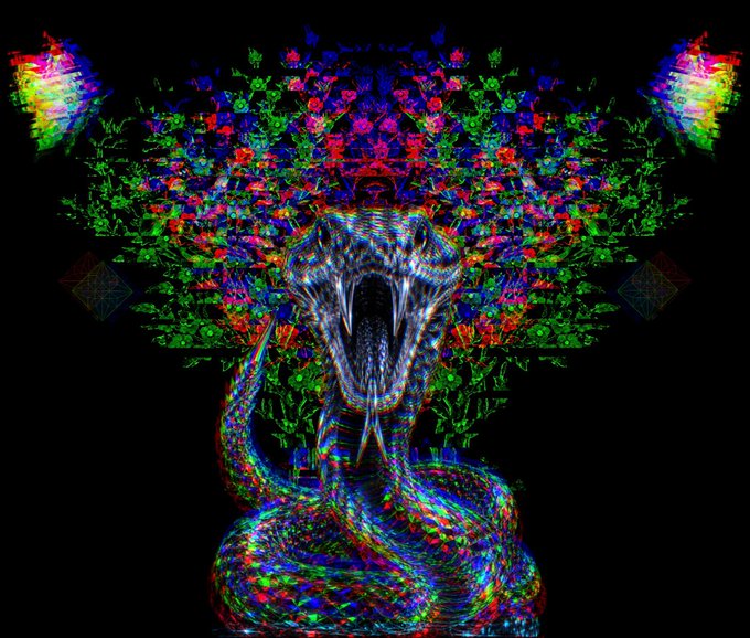 A psychedelic digital art piece featuring a snake with an open mouth against a kaleidoscopic, colorful floral background on black.