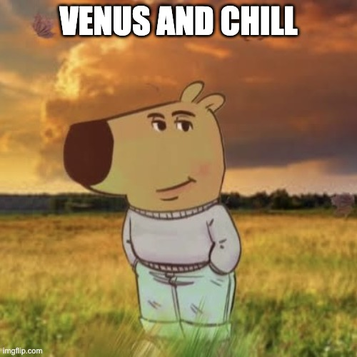 A humorous meme featuring a cartoon dog character (from 'The Good Dog Show' or similar) standing in a field with a dramatic cloudy sky, overlaid with the text 'VENUS AND CHILL' and watermarked with 'imgflip.com'.