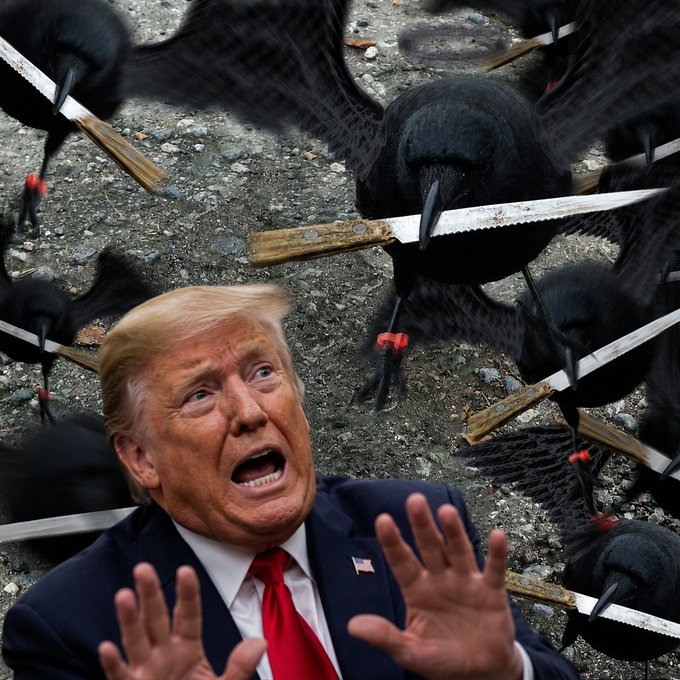 [caption-failed: flagged sensitive]