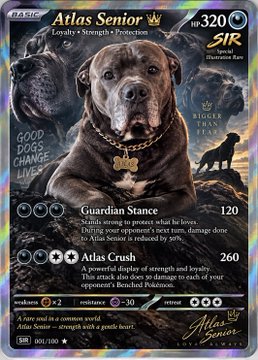 A trading card titled "Atlas Senior" featuring a chocolate Labrador dog with 320 HP, showcasing attacks "Guardian Stance" and "Atlas Crush" from a "Sir" set.