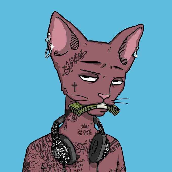 A tattooed, hairless cat with earrings and headphones glowers while holding a wad of cash in its mouth, surrounded by text like "LOVE," "NO FACE NO PWRR," and "KETA" on its body. The mischievous, hustler attitude of the cat pairs well with the post's motivational "GM CT" message, symbolizing a focused, money-driven grind to seize new opportunities.